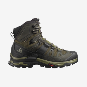 Salomon Quest 4 GTX Mens Waterproof Hiking Boots